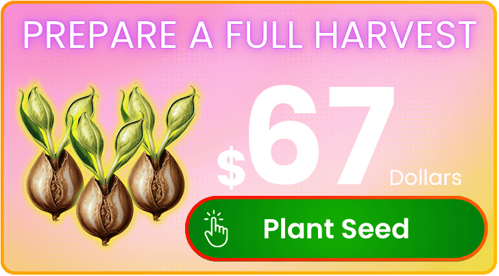 3 Seeds Option